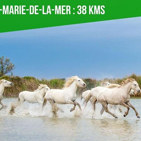 Le Palais Maya - Lumineux - Wifi La Grande-Motte Eksteriør bilde