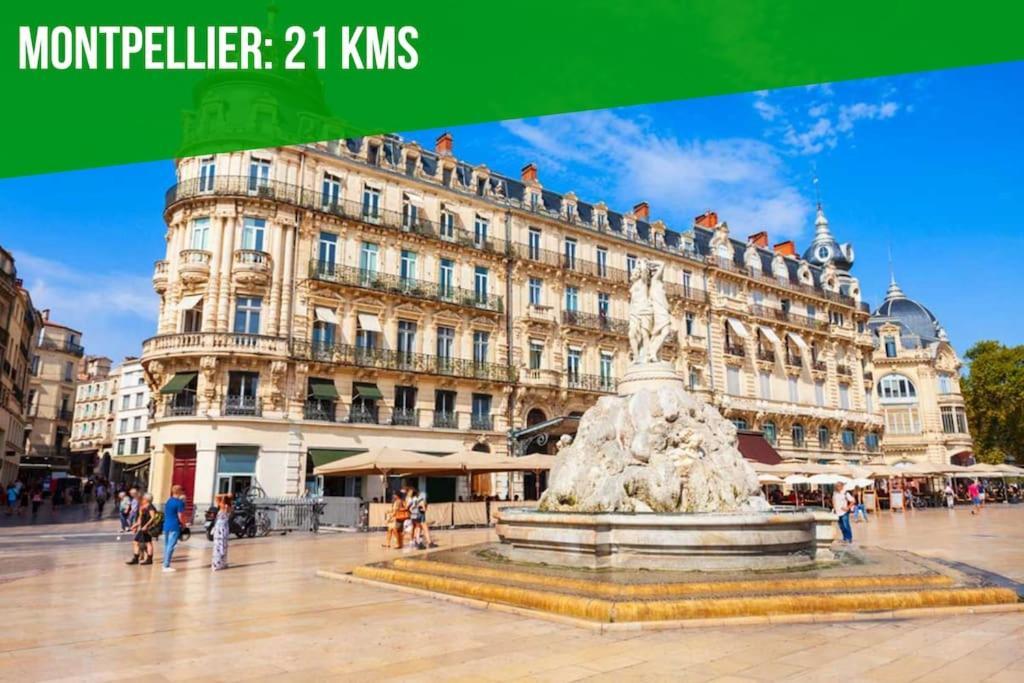 Le Palais Maya - Lumineux - Wifi La Grande-Motte Eksteriør bilde